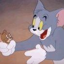 Youngtao的个人资料头像