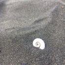 Alexander的个人资料头像