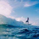 默契同志的个人资料头像