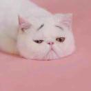 小陈陈重名了的个人资料头像