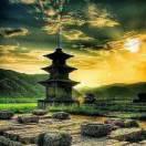 Peter不想说话76330的个人资料头像