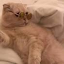 爆爆蛋的个人资料头像