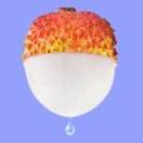 肆少的个人资料头像