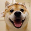 李源就是我76433的个人资料头像