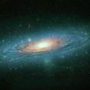 异星的个人资料头像