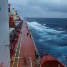 胖嘟嘟胖墩墩胖弟弟的个人资料头像