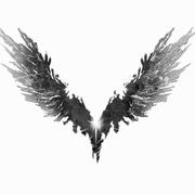 qingtianlemon的个人资料头像