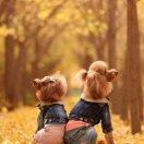 冬同志76519的个人资料头像