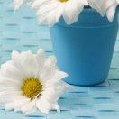 LZ的个人资料头像