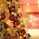 Amazingdawn的个人资料头像