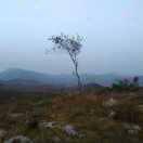 siumu的个人资料头像