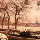 风过留痕同学的个人资料头像