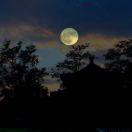 three洋的个人资料头像