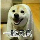 老柴的个人资料头像