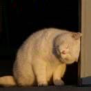 尧十三的个人资料头像