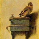 theoxao的个人资料头像