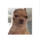 学者松的个人资料头像