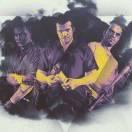 zz77007的个人资料头像