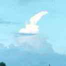 往事随风酱77015的个人资料头像