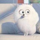 珂樂的个人资料头像