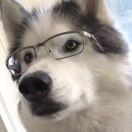 小太阳就是我77050的个人资料头像