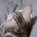 小黑屋房东的个人资料头像