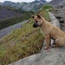 当那一天来临的个人资料头像