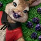 攀不想说话的个人资料头像