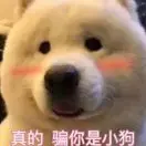 外部图片