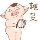 霁雪的个人资料头像