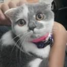 辣舞的个人资料头像