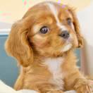 龙辉宇的个人资料头像