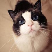 Moon1102的个人资料头像