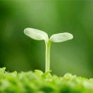 神瘦的个人资料头像