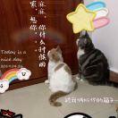 momopoppy酱的个人资料头像