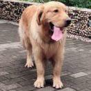 zhukovasky的个人资料头像