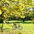 一米阳光同学77400的个人资料头像