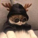 同学77407的个人资料头像