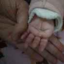 林泽锋的个人资料头像