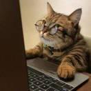 墨凡爱学习的个人资料头像