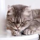 走钢索的人本尊的个人资料头像