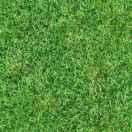 磊重名了77517的个人资料头像