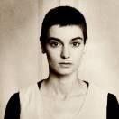 不买茶叶谢谢的个人资料头像