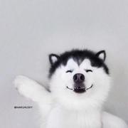 SevenEvelen的个人资料头像