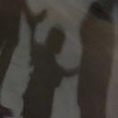 etseleC的个人资料头像