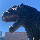 头大大的个人资料头像