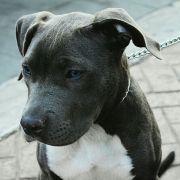 YXW__转瞬间的个人资料头像