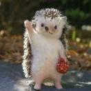 坤记牛杂档的个人资料头像