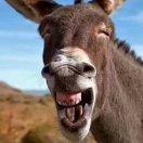 黄帅帅的个人资料头像