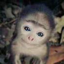 大眼睛猴儿123的个人资料头像